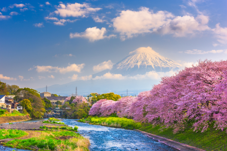 Japan Cruise – Your Guide to Cruising Around Japan